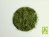Model Scene 004-03 Grass-Flock 4,5 mm - Early Summer 50g